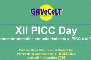XII PICC Day – Bologna, 4 dicembre 2018